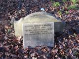 image of grave number 966066